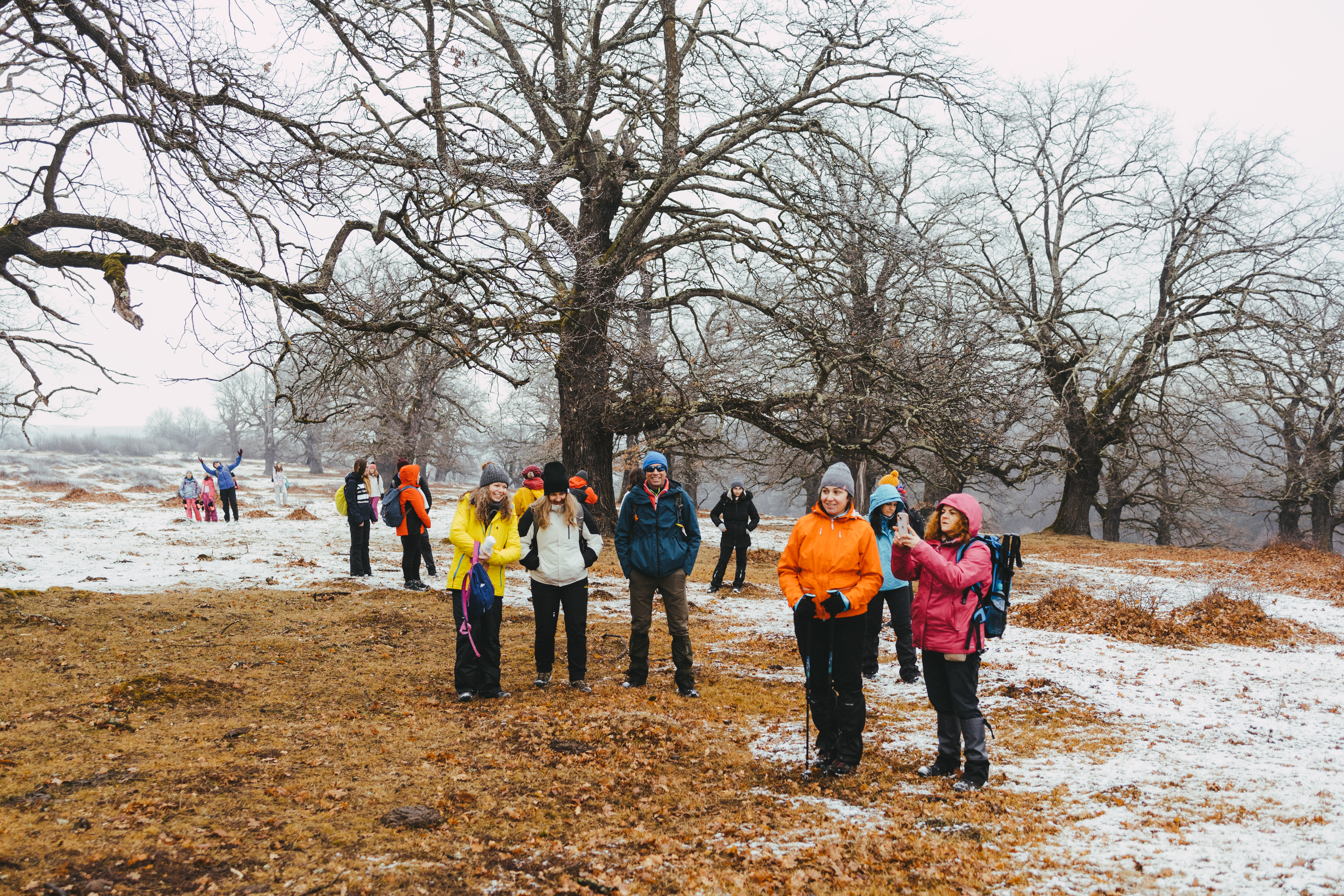 Cură de imunitate: drumeție în Colinele Veseudului și atelier de cătină