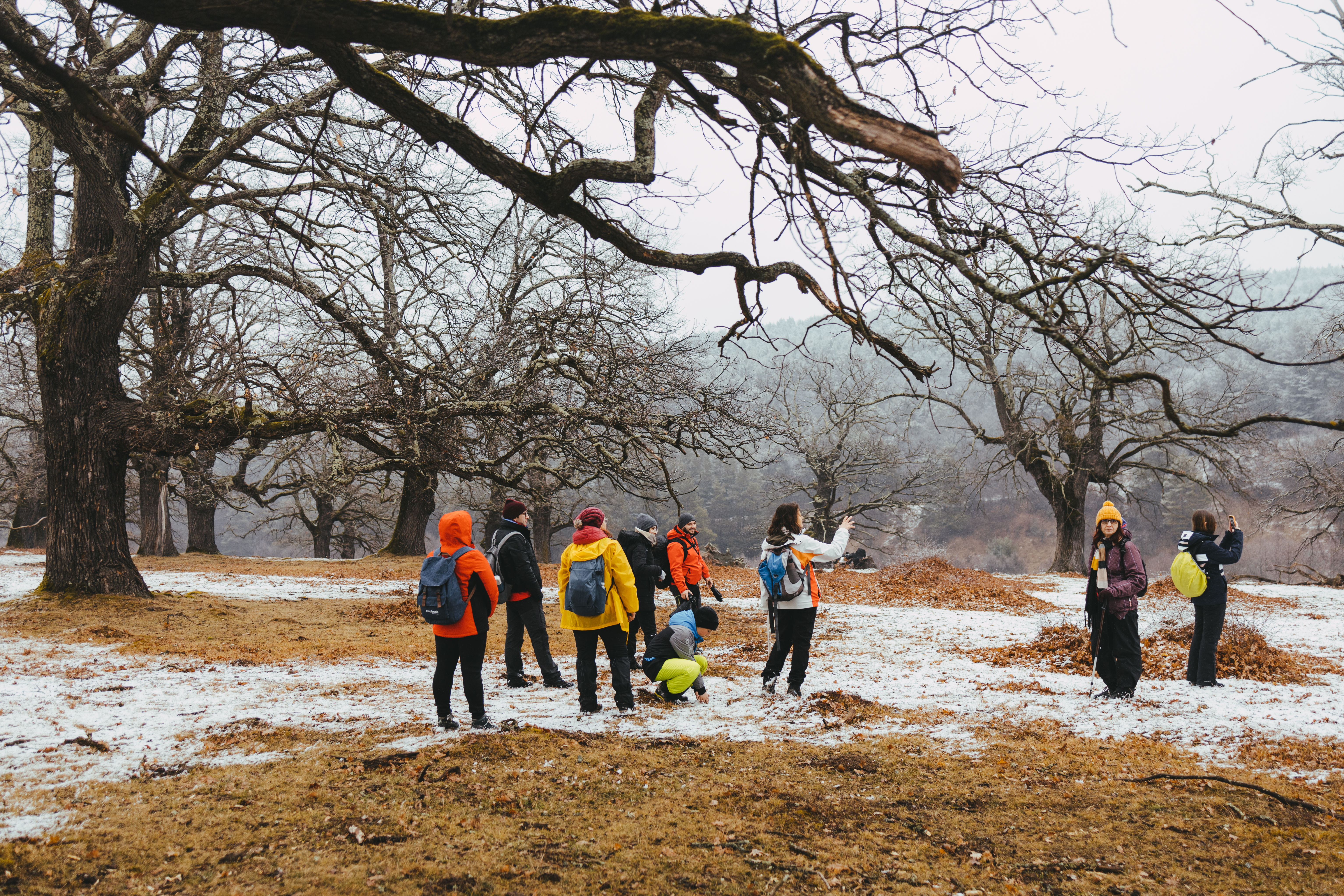 Explorăm colinele Târnavelor și poveștile comunității rome din Brateiu