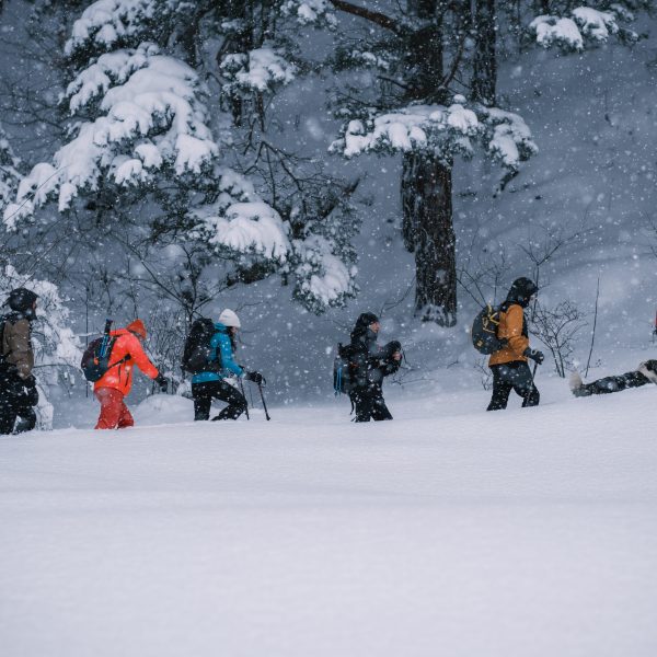 Tour in den Făgăraș-Bergen: Bărcaciu-Hütte, Scărișoara-Kamm und Gipfel Scara