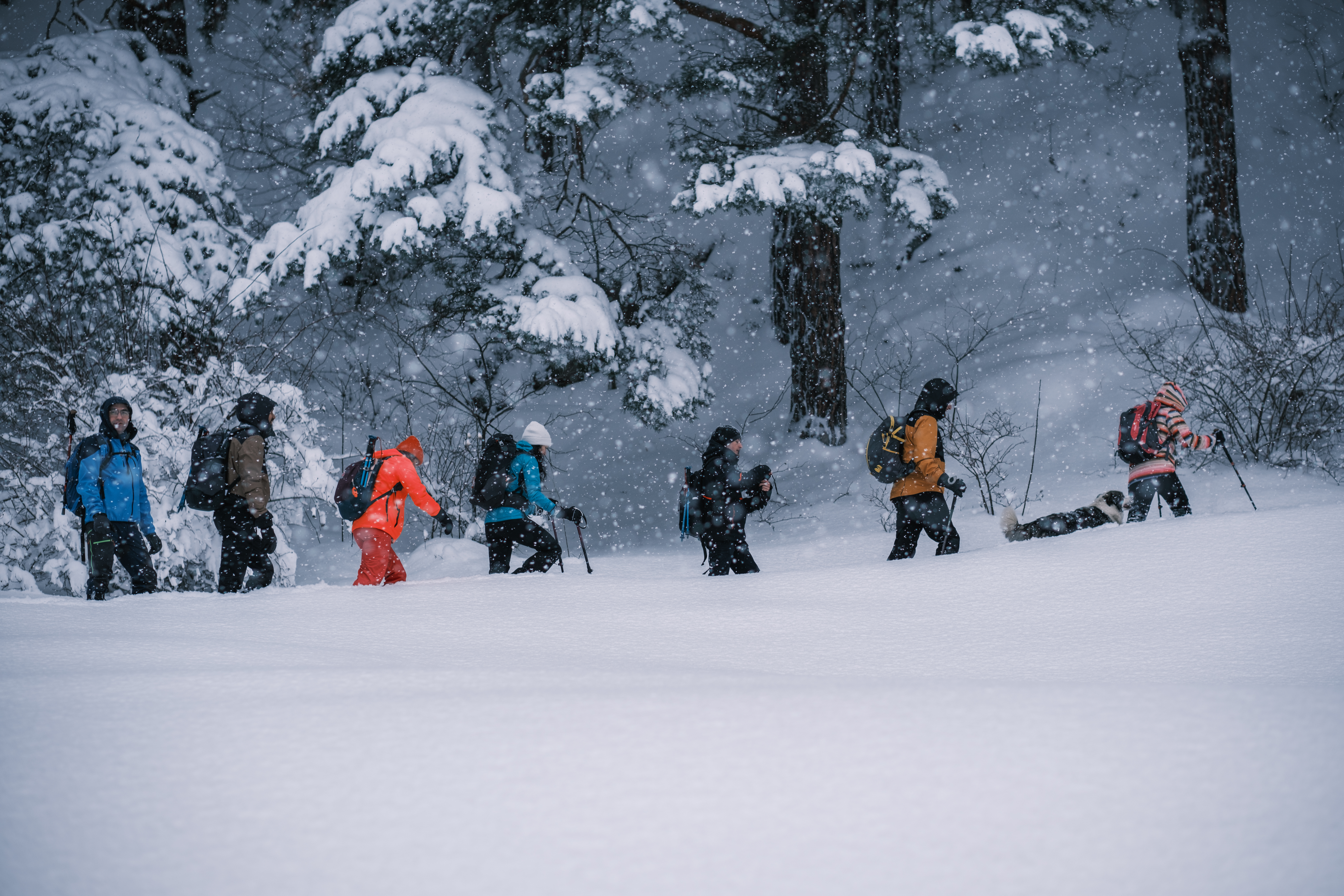 Tură în Munții Făgăraș: Cabana Bărcaciu, Muchia Scărișoarei și Vf. Scara