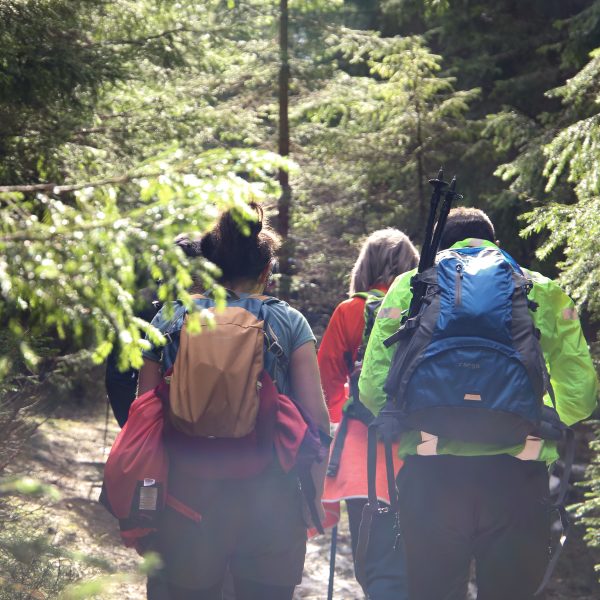 Wanderung in den Cindrel-Bergen: Păltiniș – Rășinari