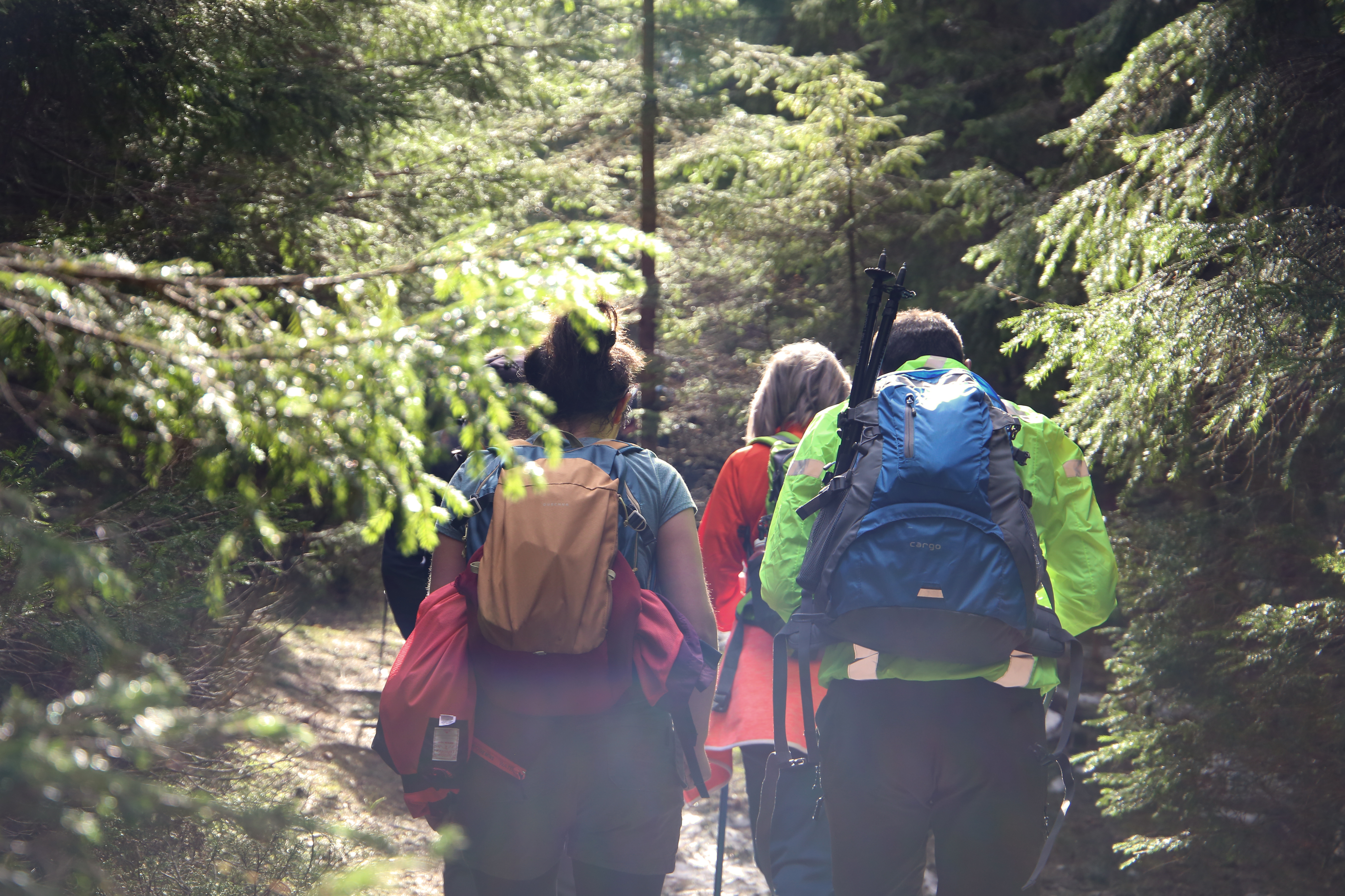 Drumeție în Munții Cindrel: Păltiniș – Rășinari