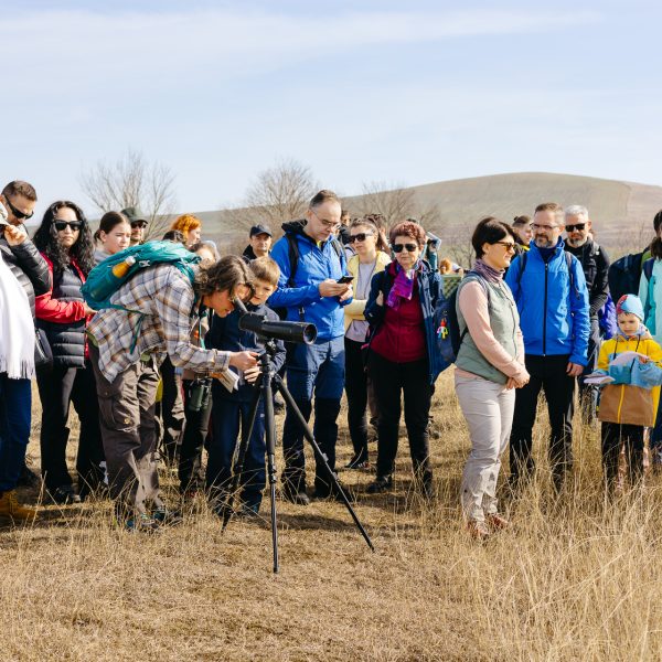 Wanderung zur Wasservogelbeobachtung an den Teichen von Mândra