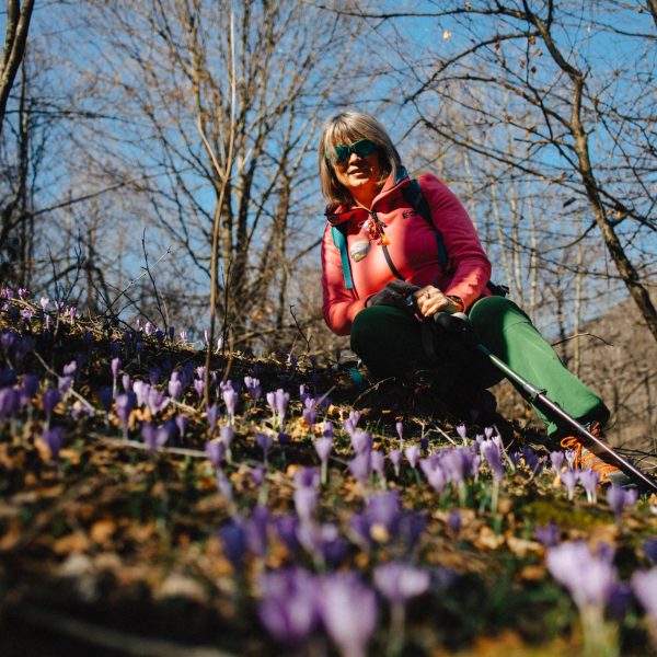 Auf der Suche nach Schneeglöckchen und Krokussen zum Gipfel Măgura
