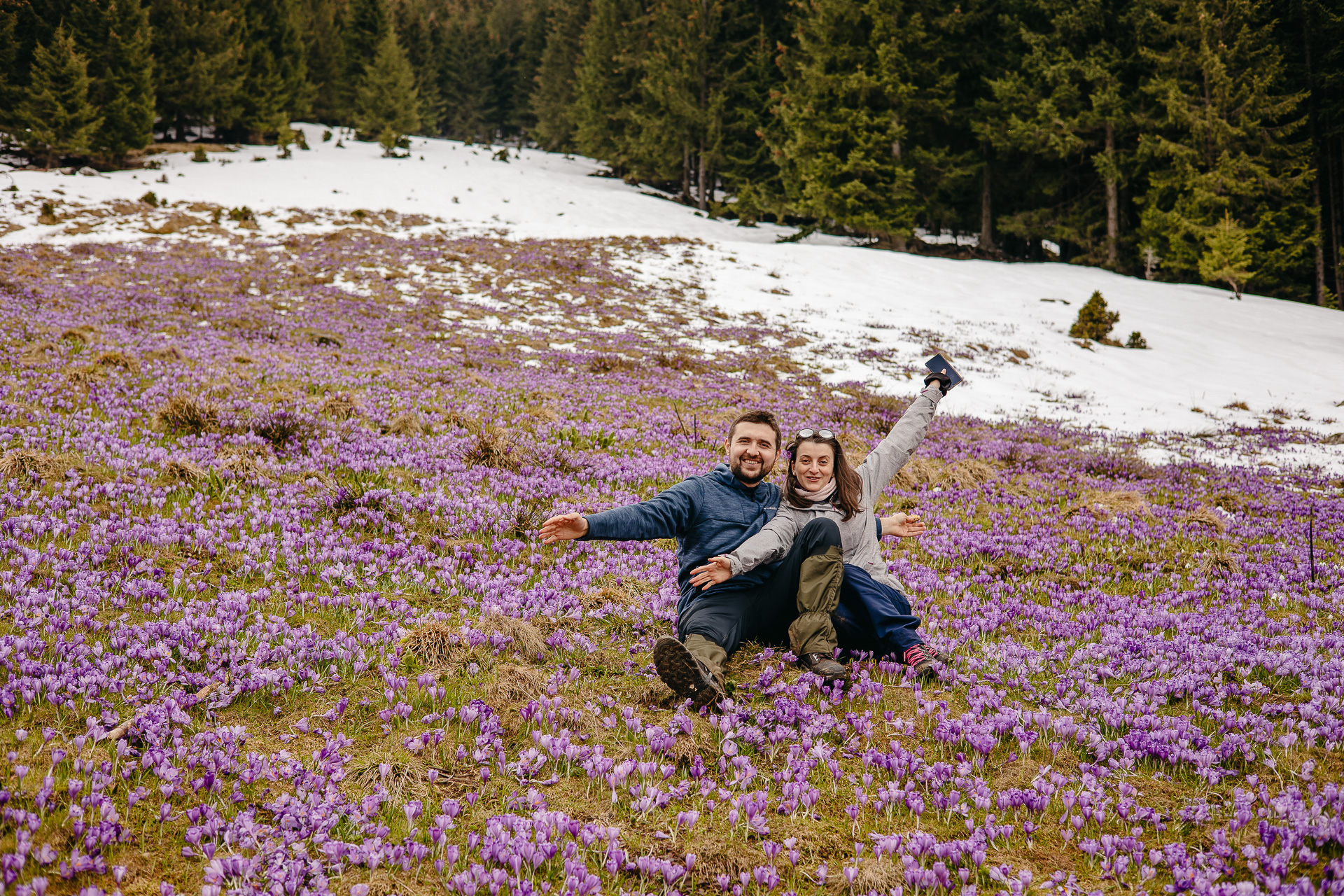 În căutarea brândușelor la Cabana Suru