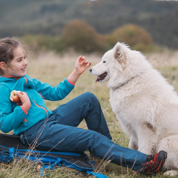 Die jahrhundertealten Wälder in der Umgebung von Dumbrăveni und kulinarische Überraschungen in Istváns Käsemanufaktur