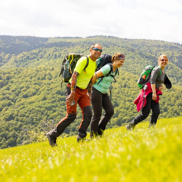 Frühlingsrhapsodien zur Cabana Godea und nach Fântânele