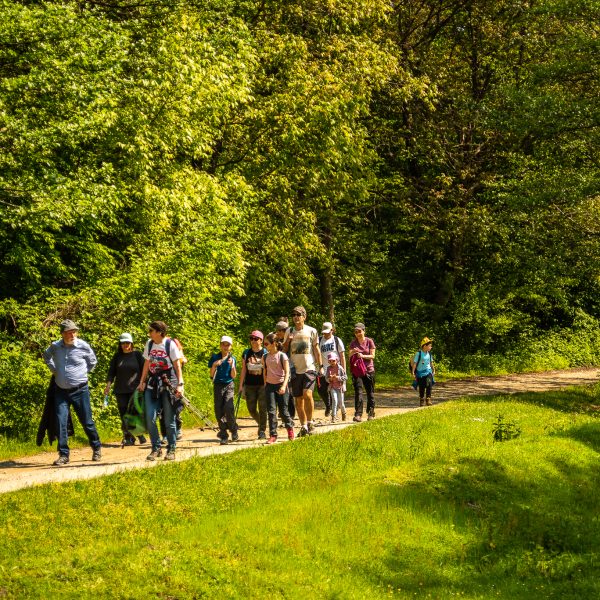 Wanderung mit Bergworkshop für kleine Wanderer: Cisnădioara – Valea Argintului