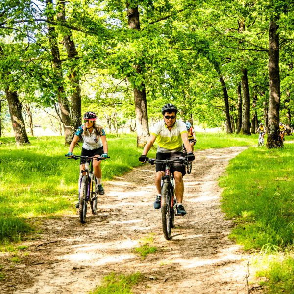 Nachmittagsabenteuer mit dem E-Bike durch die Wälder der Mărginime