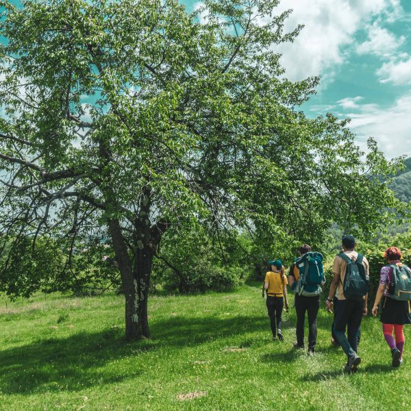 Zilele Goga în Rășinari: cultură locală, drumeție ușoară și brunch