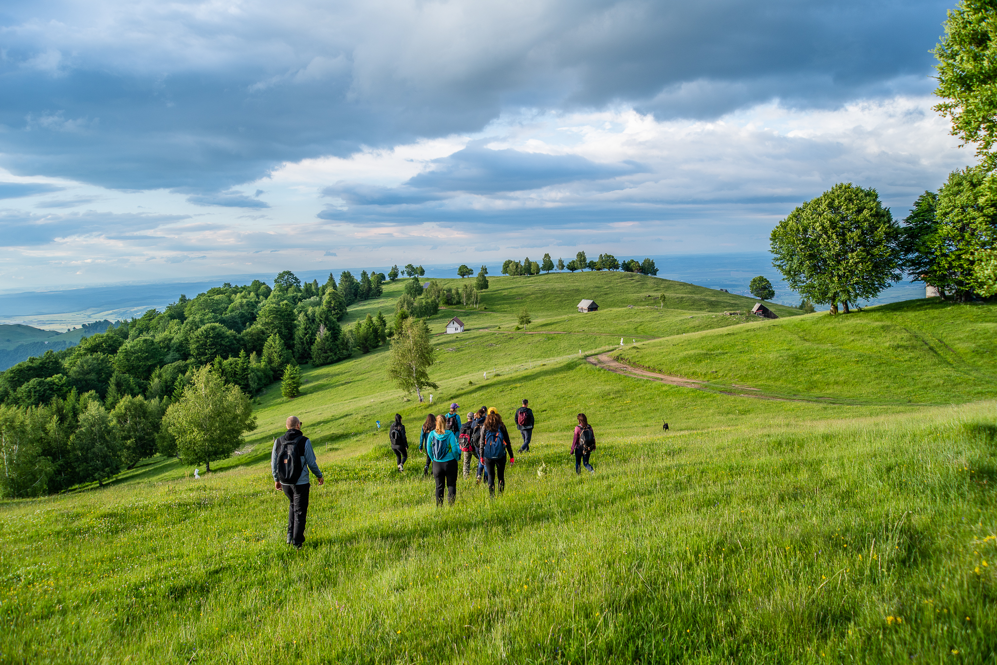 After work hike: Printre flori de soc spre Poiana Pensionarilor
