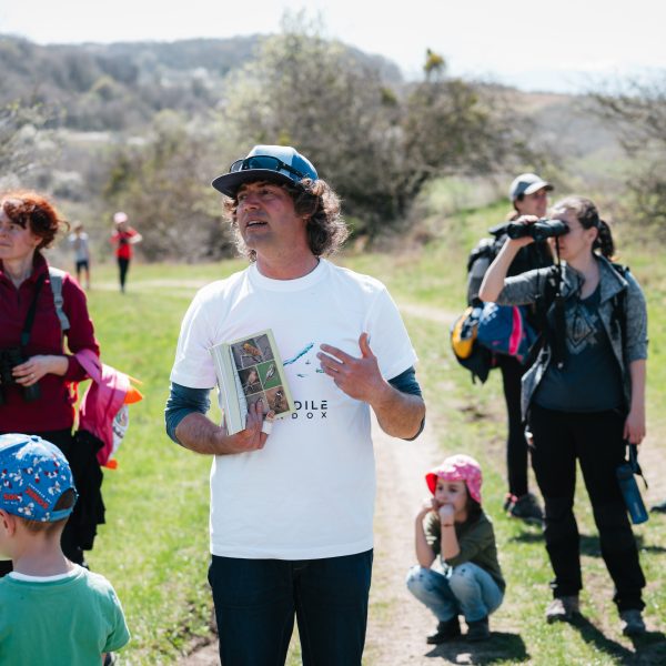 Familienwanderung zur Beobachtung der Bienenfresser auf dem Gușterița-Hügel