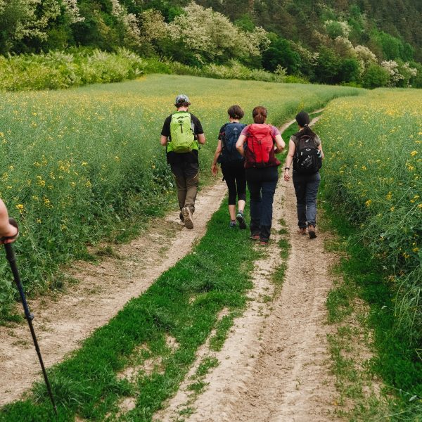 Wanderung auf der Via Transilvanica: Mediaș-Banza-Boian