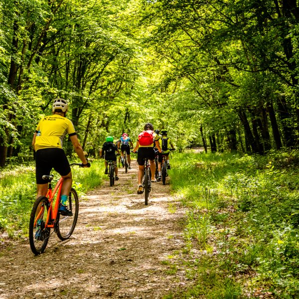 Besuch beim „Wächter des Cibin” mit dem E-Bike