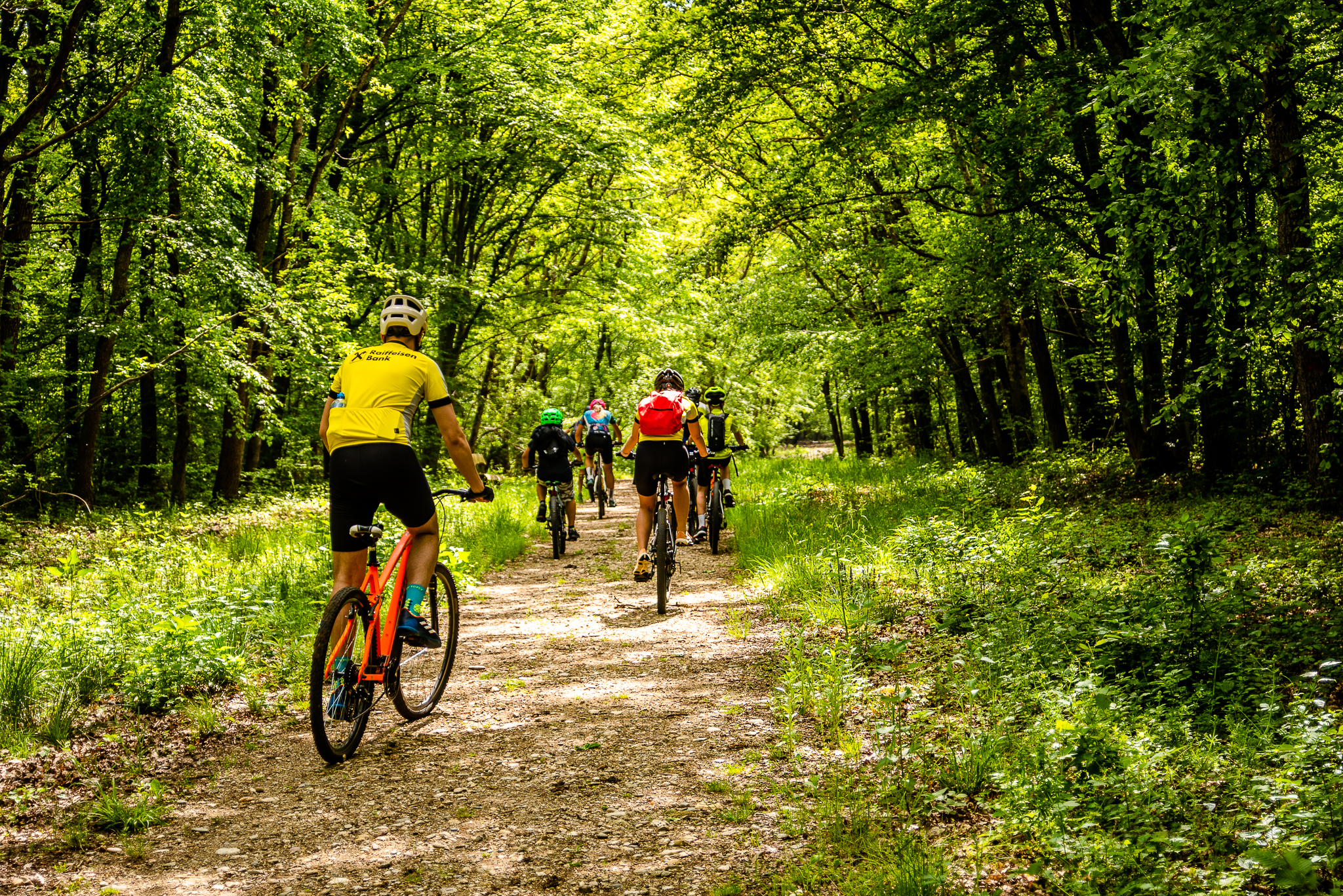 În vizită la „Paznicul Cibinului” pe E-bike