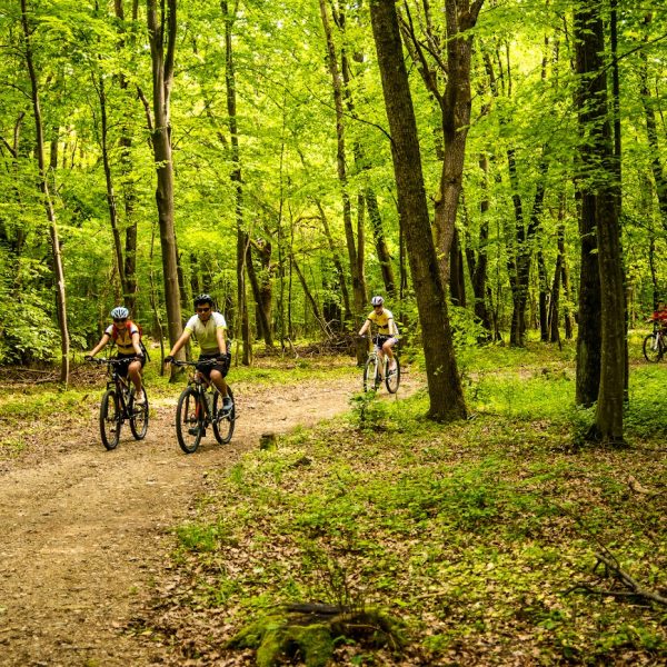 Nachmittagstour mit dem E-Bike mit Abfahrt durch die Cheile Cibinului