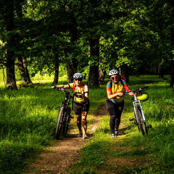 After-Work-E-Bike-Tour rund um Sibiu