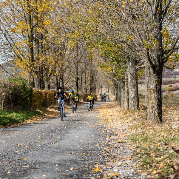 E-Bike-Tour durch die Wälder der Mărginime