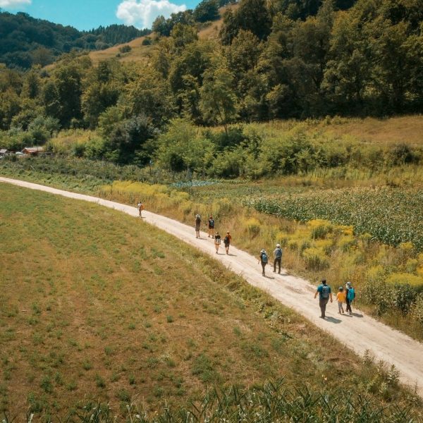 Wanderung auf den 100 Hügeln mit Fotografieren von 100 Blumen