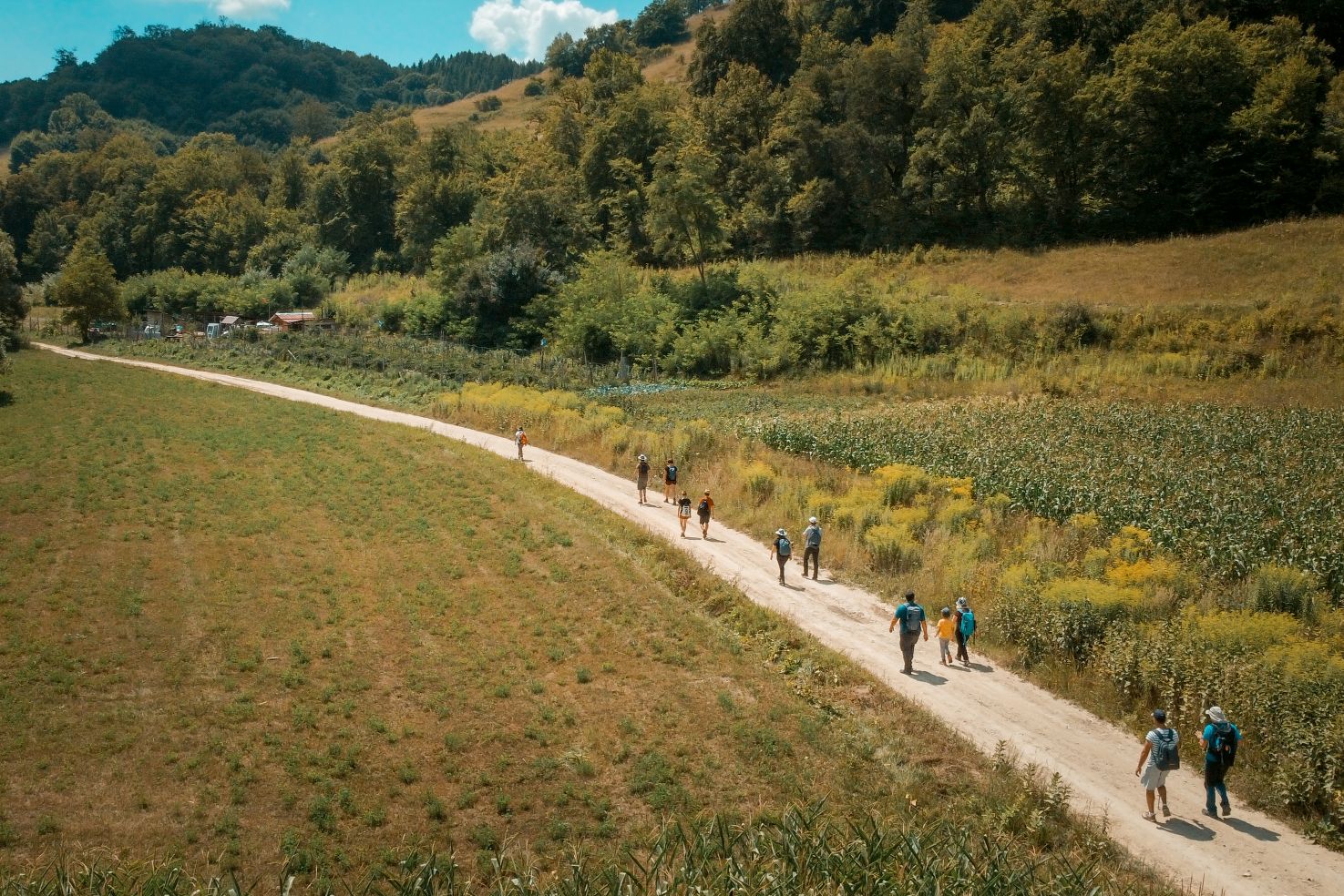 Drumeție pe cele 100 de coline cu fotografiat 100 de flori