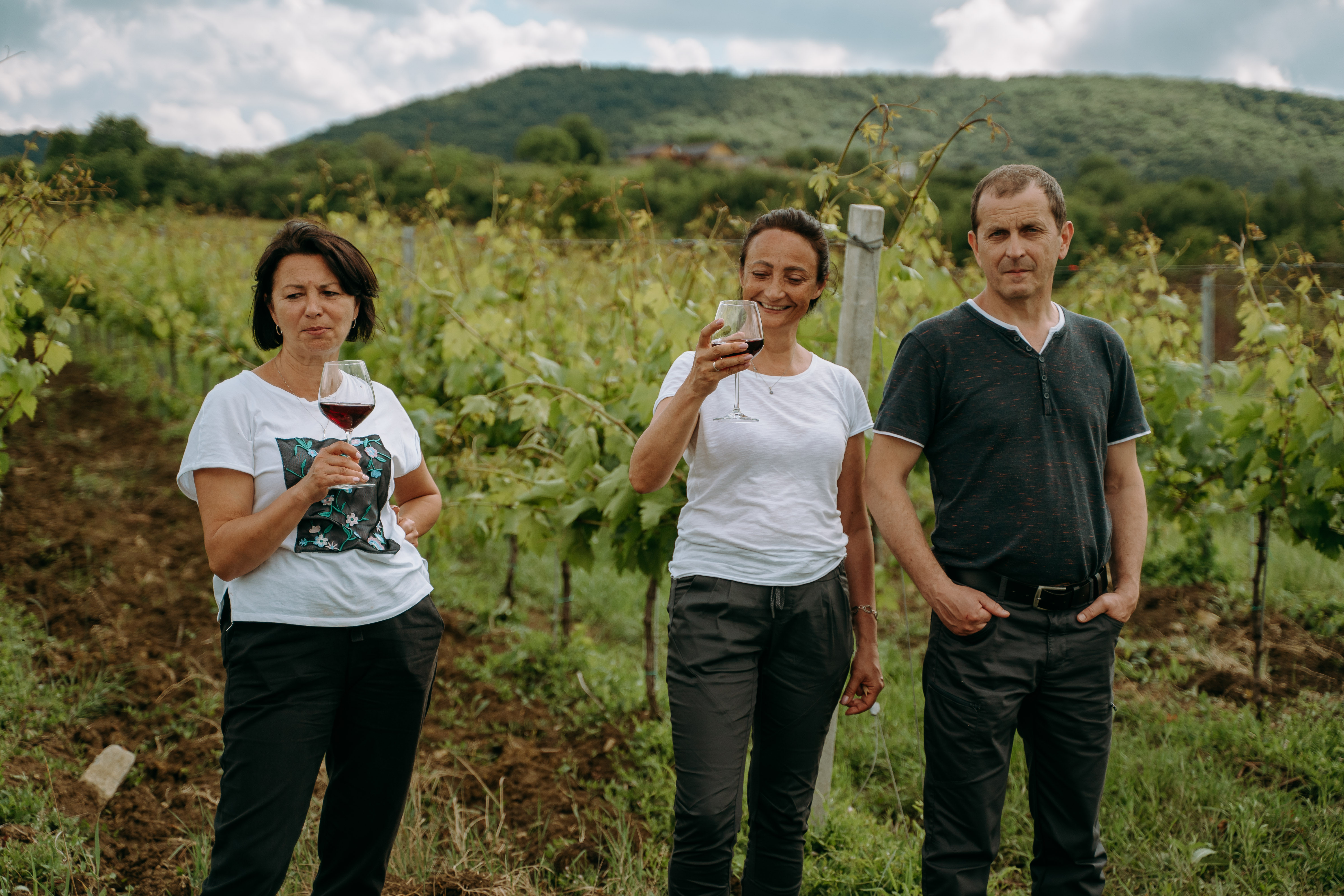 Drumeție de după-amiază cu degustare de vin în Pădurea Amnașului