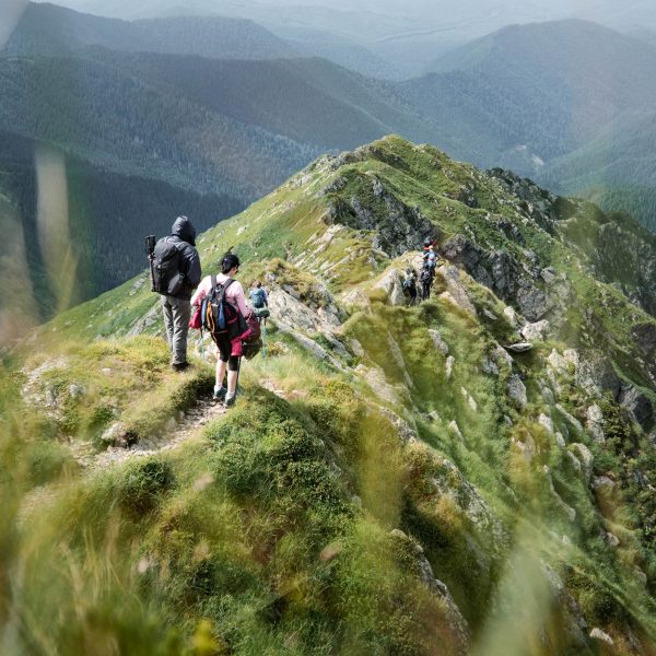 Hike in the Făgăraș Mountains: Negoiu Peak, Custura Sărății and Șerbota Peak