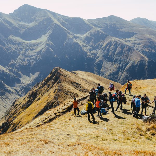 Hike to pick blueberries and raspberries towards Suru Hut and Tătaru Peak