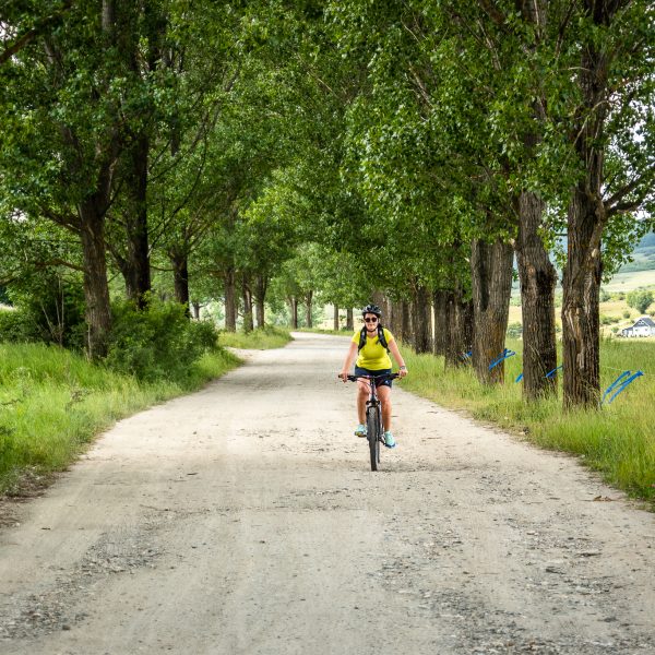 E-bike tour on the hills and through the forests of Poplaca and Rășinari