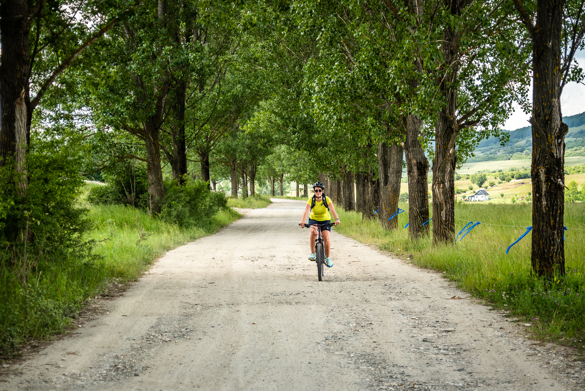 Tură de E-bike pe dealurile și prin pădurile din Poplaca și Rășinari