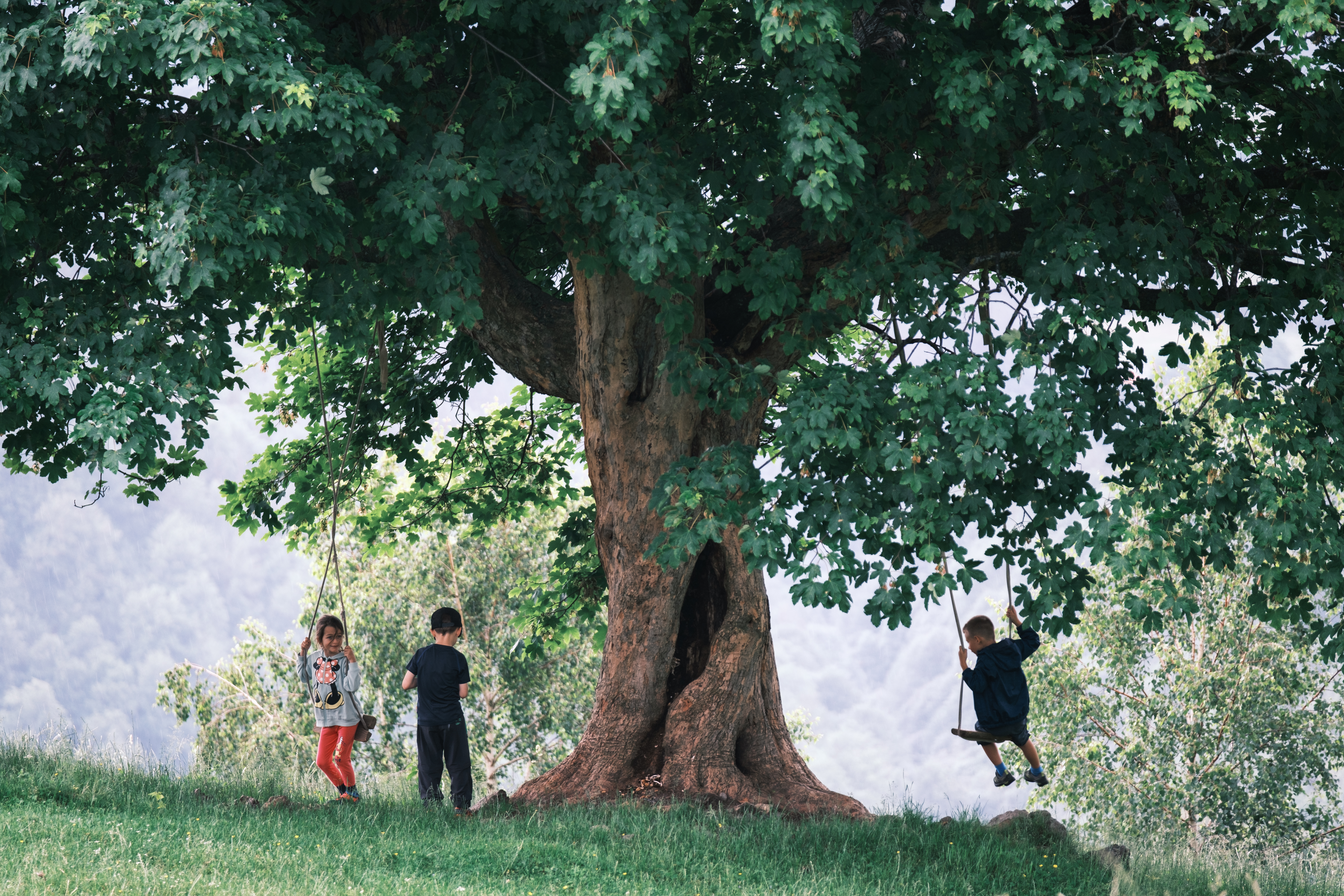 Drumeție pe Vf. Măgura, Poiana Trandafirilor (Rosengarten), Vf.Derjani și Căsuța MGS