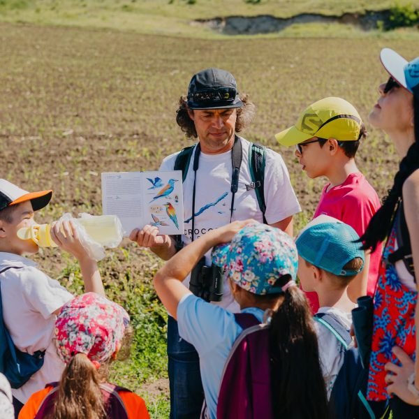 Anii Drumeției Summer School | #3 Birdwatching workshop and nature discovery games: Gușterița Hill – Hamba