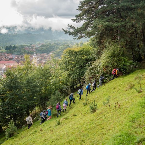 Anii Drumeției Summer School | #5 First Aid Workshop – What Do We Do When Someone Gets Injured in the Mountains?