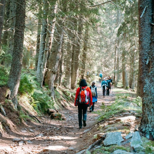 Hike with survival skills and mushroom picking