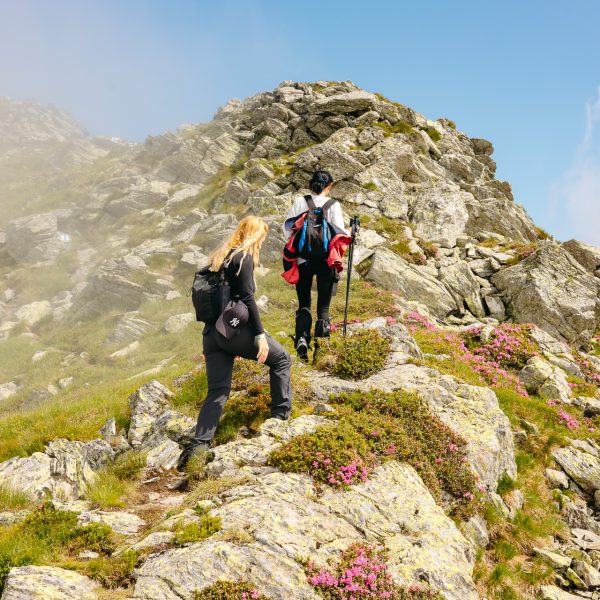 Hike on the northern ridge of Piscul Bâlea