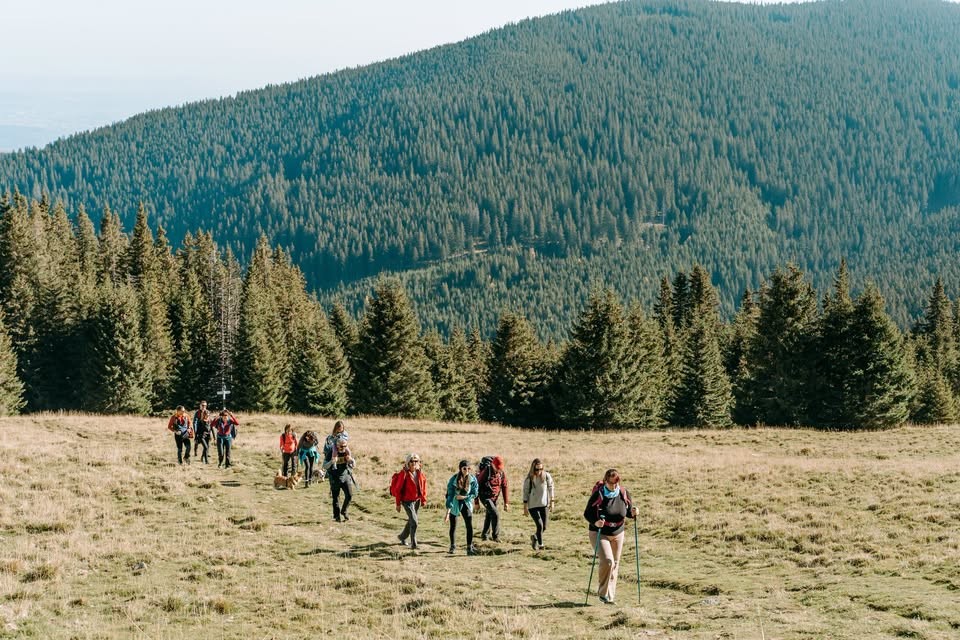 Drumeție cu familia: Păltiniș – Vf. Oncești – Poiana Lupilor – Șanta – Păltiniș