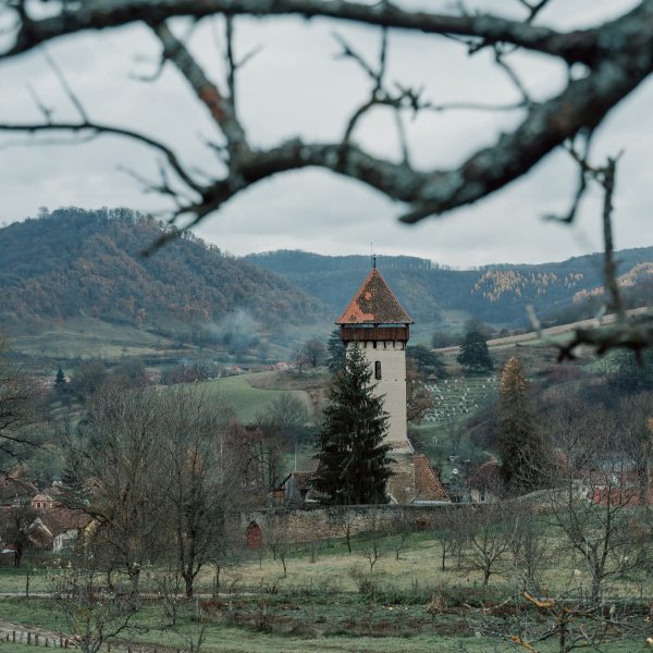 Toamna la Mâlăncrav: Circuit prin poieni și păduri