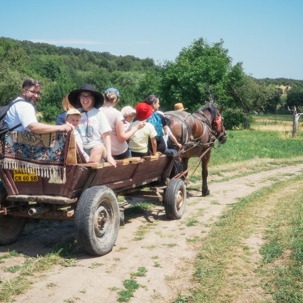 Toamna copilăriei cu căruța prin livezile din Sibiel și Fântânele