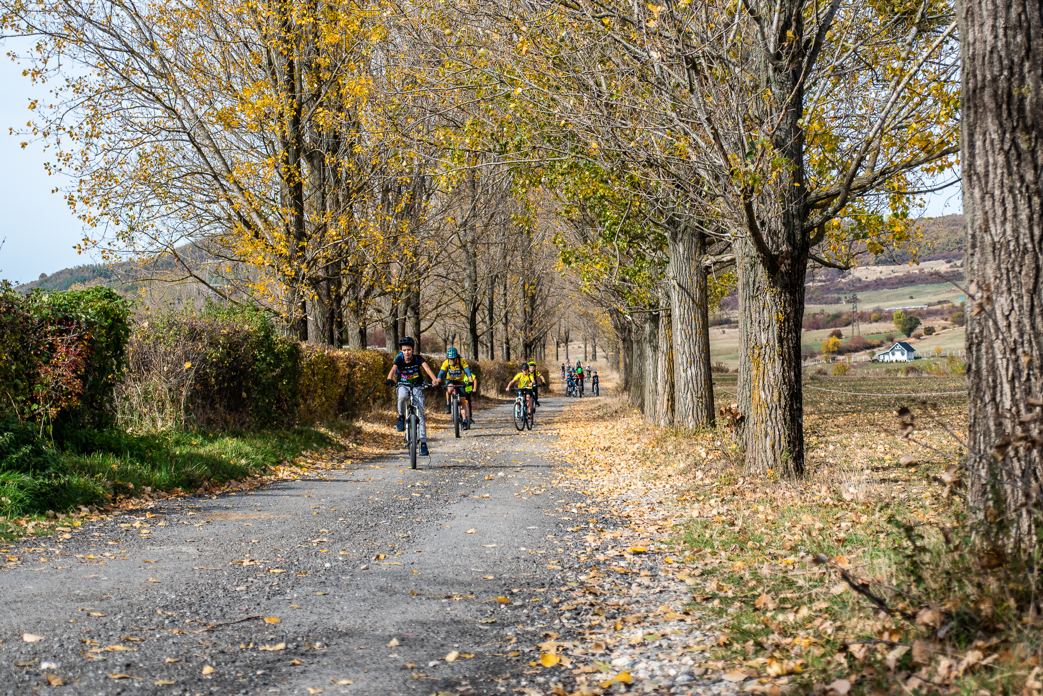 Tură E-bike pe Via Transilvanica