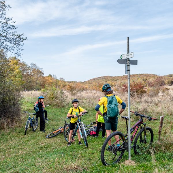 Tură pe E-bike afterwork pe dealuri și prin păduri: Poplaca și Rășinari