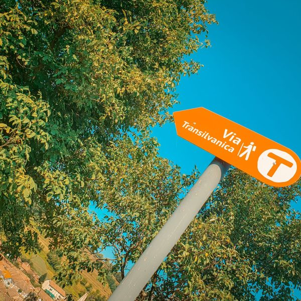 Drumeție pe Via Transilvanica: De la Micăsasa la Blaj