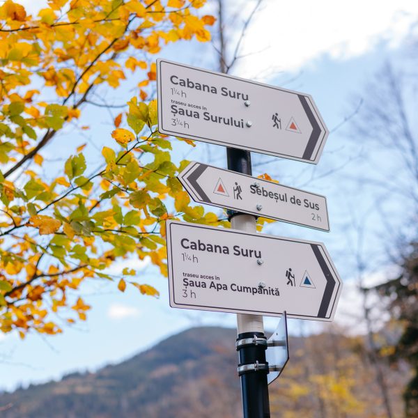 Drumeție în familie: Curcubeul culorilor în Făgăraș și o ciorbă dumnezeiască la Cabana Suru
